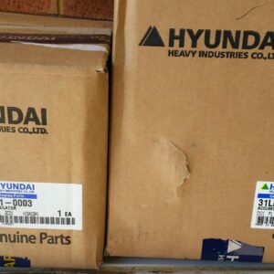 Hyundai Accumulator - 81L1-0003, 31LL-40020