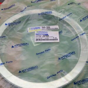 Hyundai Seal Ring - ZGAQ-02486