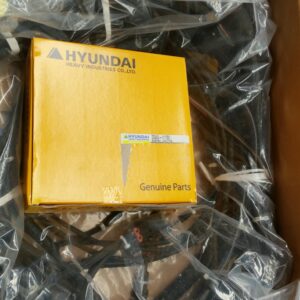 Hyundai Transmission Control Unit - ZGAQ-01700