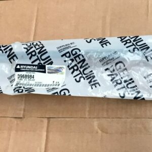 Hyundai Tube Oil Gauge - 3968984